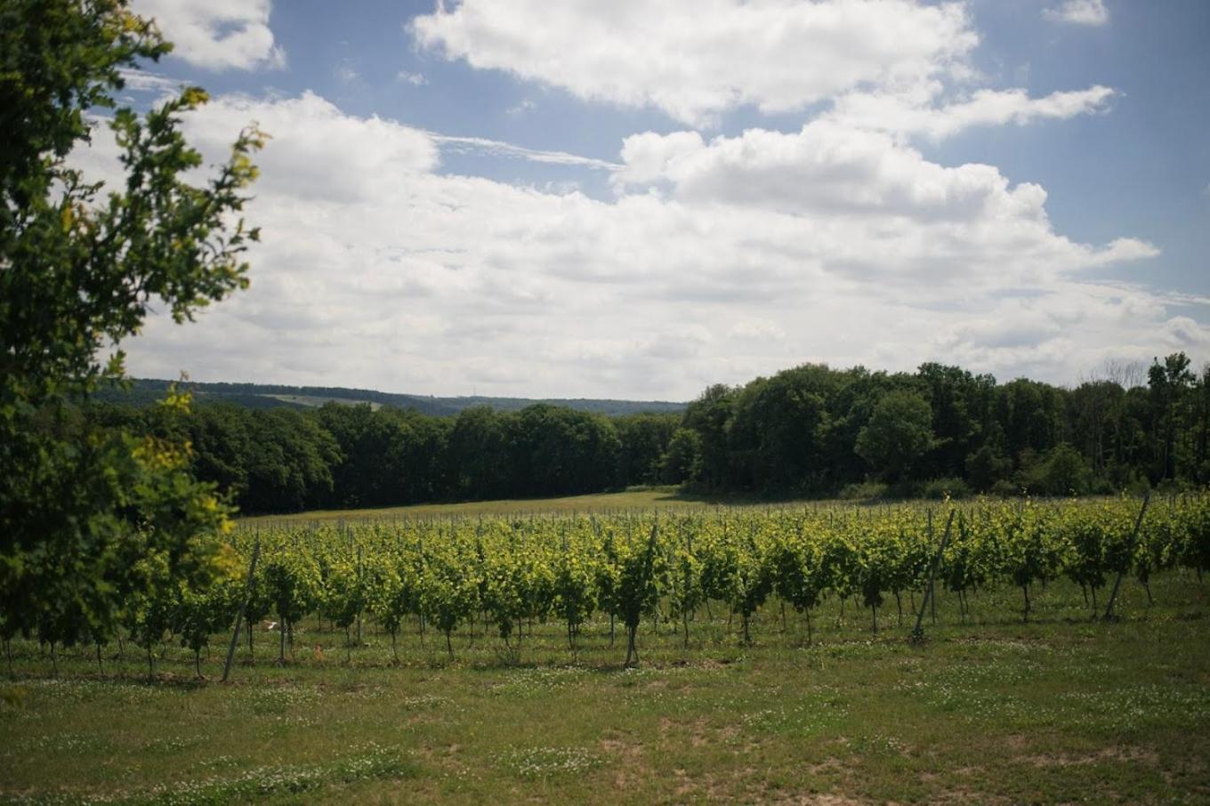 La Petite Maison Blanche Wanze Kültér fotó